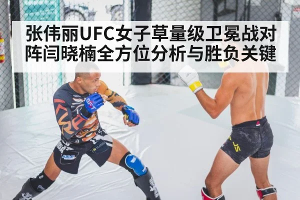 张伟丽UFC女子草量级卫冕战对阵闫晓楠全方位分析与胜负关键